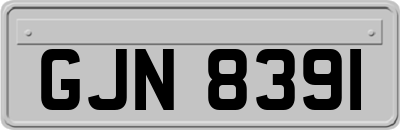 GJN8391