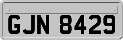 GJN8429