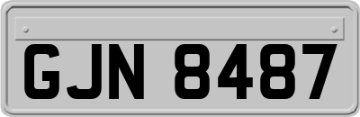 GJN8487