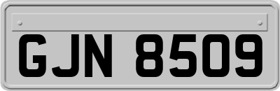 GJN8509