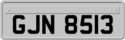 GJN8513
