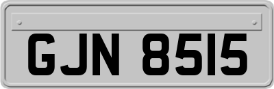 GJN8515