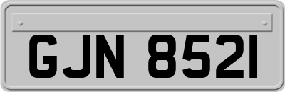 GJN8521