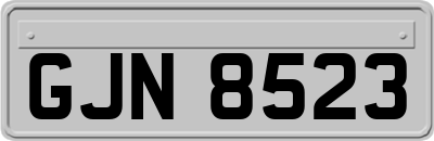 GJN8523