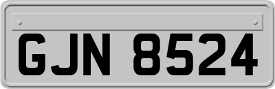 GJN8524