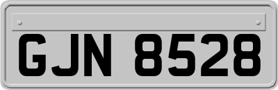 GJN8528