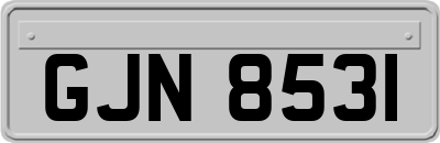 GJN8531