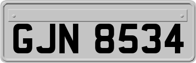 GJN8534