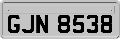 GJN8538