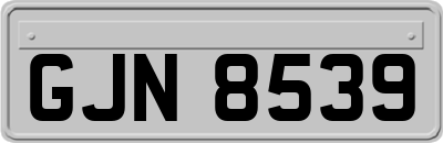 GJN8539