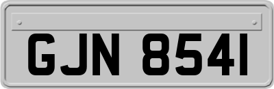 GJN8541