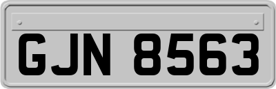 GJN8563