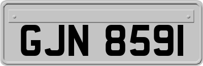 GJN8591