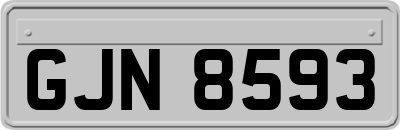 GJN8593