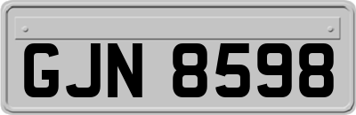 GJN8598