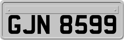 GJN8599