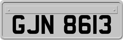 GJN8613