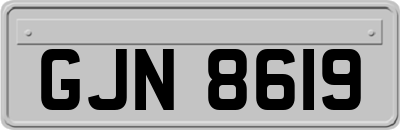 GJN8619