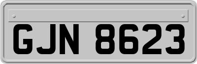 GJN8623