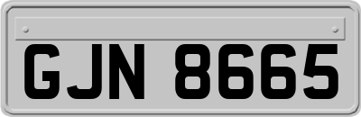 GJN8665