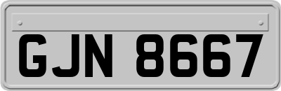 GJN8667