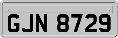 GJN8729