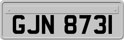 GJN8731