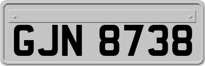 GJN8738