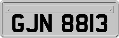 GJN8813