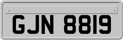 GJN8819