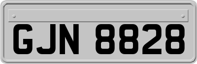 GJN8828