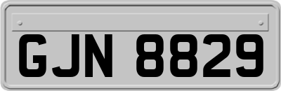 GJN8829