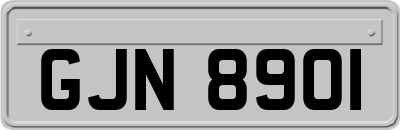 GJN8901