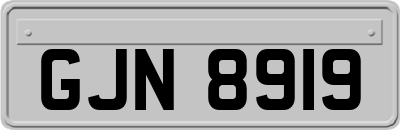 GJN8919