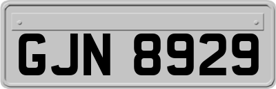 GJN8929