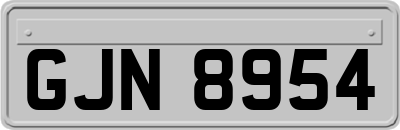 GJN8954