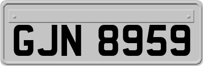 GJN8959