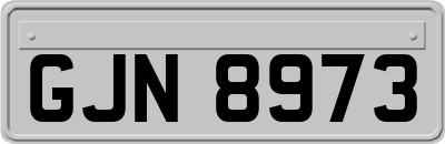 GJN8973