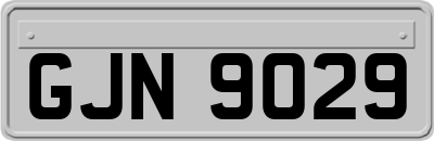 GJN9029