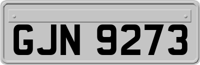 GJN9273
