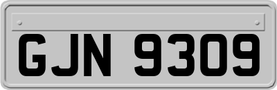 GJN9309