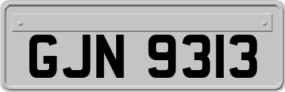 GJN9313