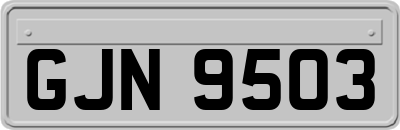 GJN9503