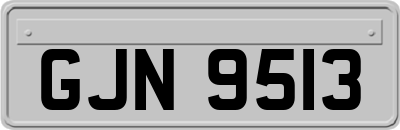 GJN9513