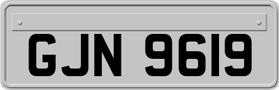 GJN9619