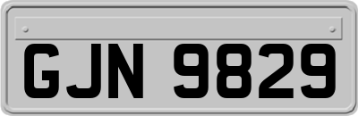 GJN9829