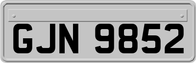 GJN9852