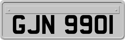 GJN9901