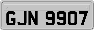 GJN9907