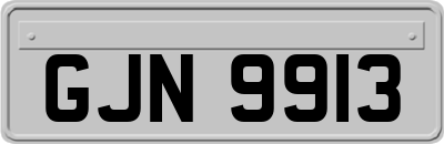 GJN9913
